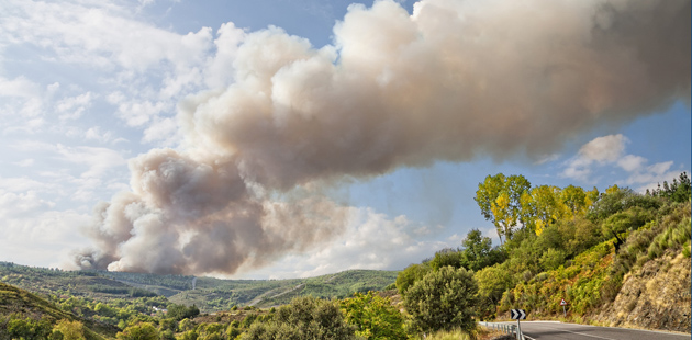 CAE – Arranque de la Red de Alerta Temprana para  Incendios de la Región de Calabria, en Italia.